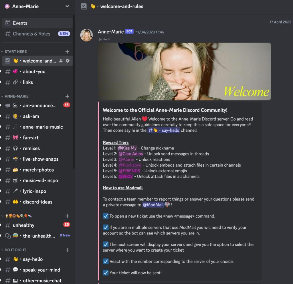 Screenshot from the Anne-Marie discord server showcasing what a Discord server might look like to users